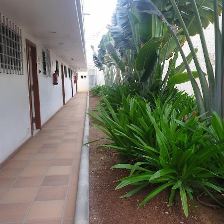 El Apartamento De Concha San Agustín Esterno foto